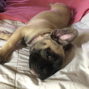 Meet your Posher, Kathy